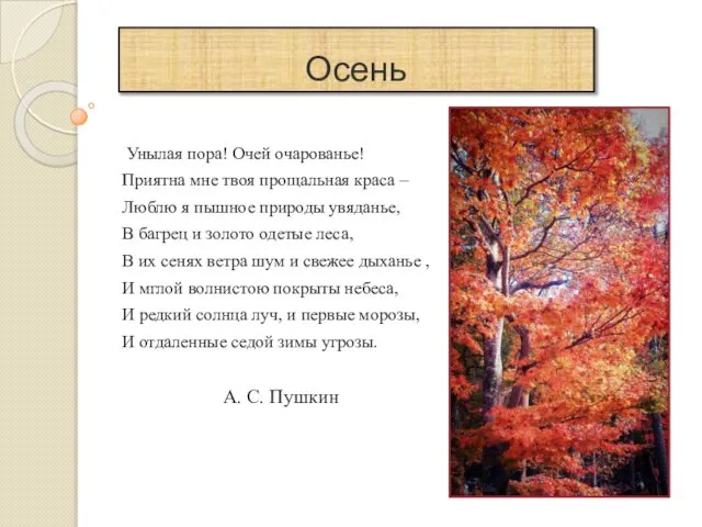 Осень Унылая пора! Очей очарованье! Приятна мне твоя прощальная краса –