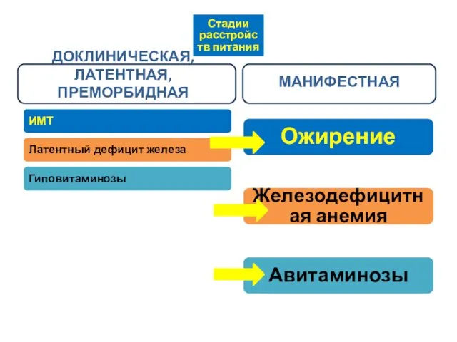 Стадии расстройств питания ДОКЛИНИЧЕСКАЯ, ЛАТЕНТНАЯ, ПРЕМОРБИДНАЯ ИМТ Латентный дефицит железа Гиповитаминозы МАНИФЕСТНАЯ Ожирение Железодефицитная анемия Авитаминозы