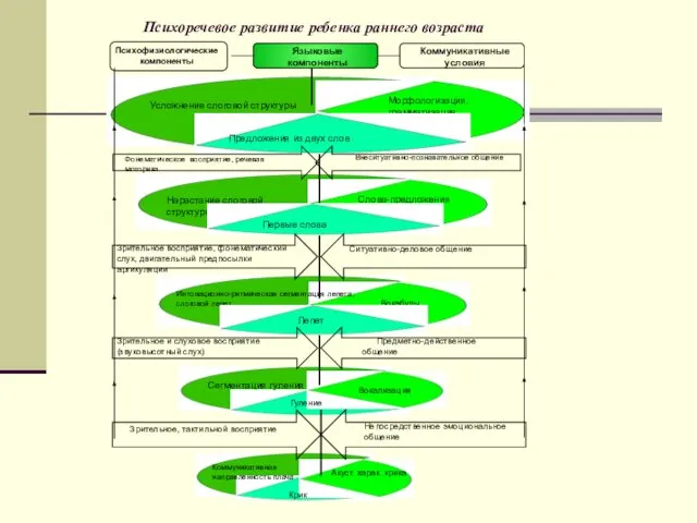 Психоречевое развитие ребенка раннего возраста Крик Акуст. харак. крика Коммуникативная направленность