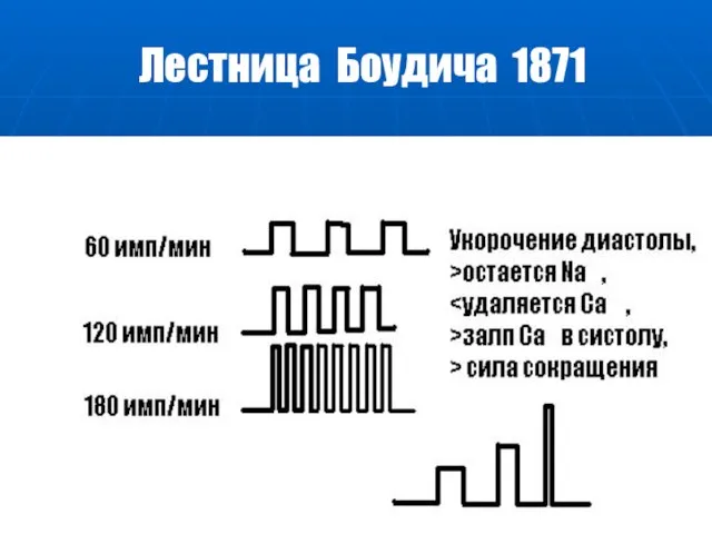 Лестница Боудича 1871