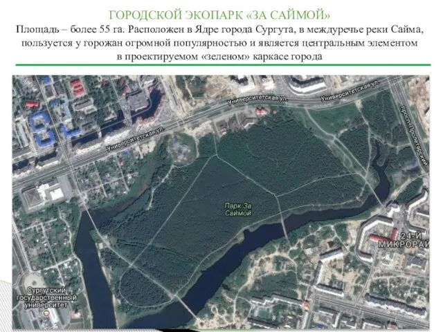 Город Сургут ГОРОДСКОЙ ЭКОПАРК «ЗА САЙМОЙ» Площадь – более 55 га.