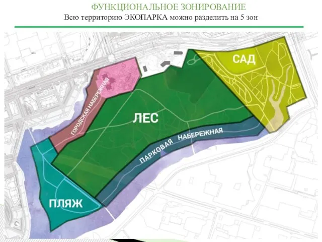 ФУНКЦИОНАЛЬНОЕ ЗОНИРОВАНИЕ Всю территорию ЭКОПАРКА можно разделить на 5 зон