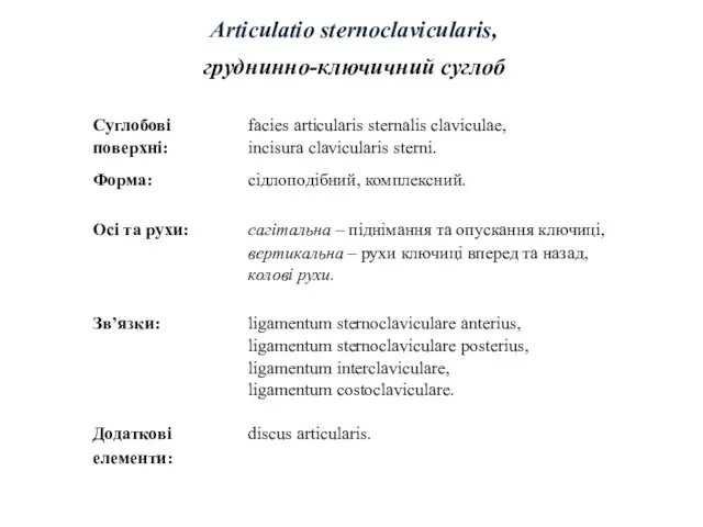 Articulatio sternoclavicularis, груднинно-ключичний суглоб