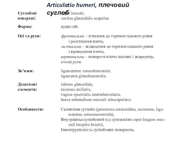 Articulatio humeri, плечовий суглоб