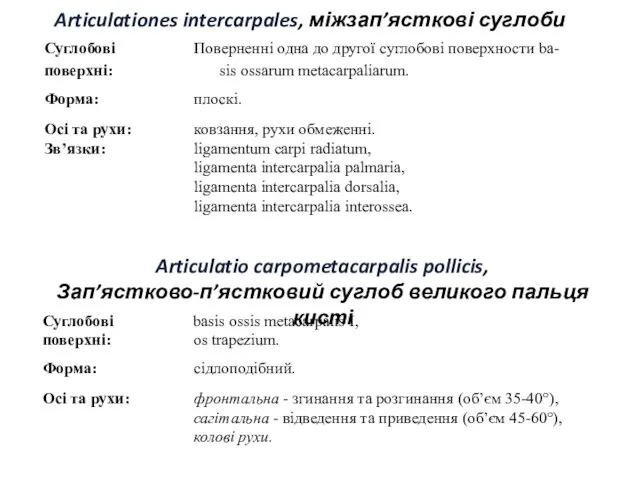 Articulationes intercarpales, міжзап’ясткові суглоби Articulatio carpometacarpalis pollicis, Зап’ястково-п’ястковий суглоб великого пальця кисті