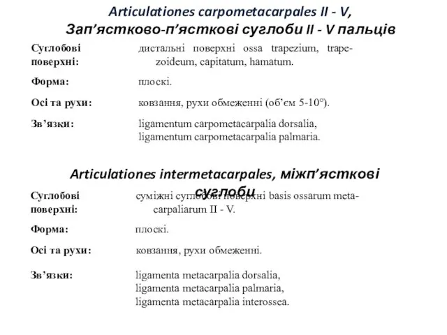 Articulationes carpometacarpales II - V, Зап’ястково-п’ясткові суглоби II - V пальців Articulationes intermetacarpales, міжп’ясткові суглоби