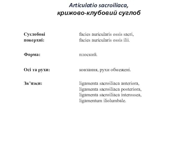 Articulatio sacroiliaca, крижово-клубовий суглоб