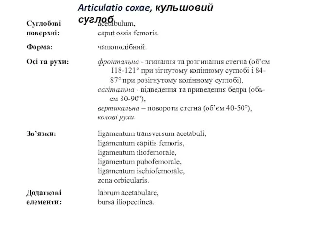 Articulatio coxae, кульшовий суглоб