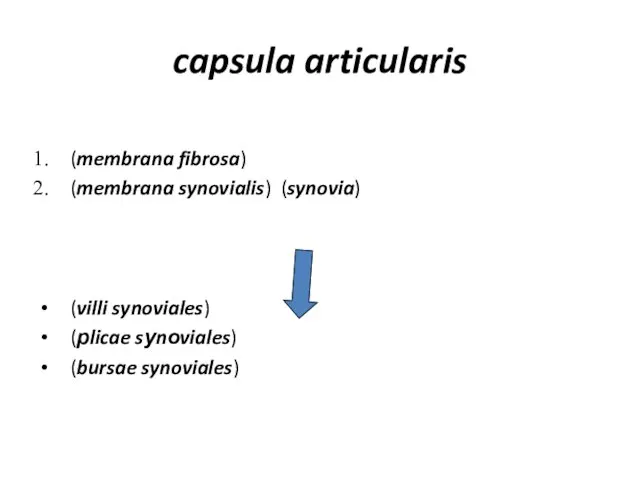 capsula articularis (membrana fibrosa) (membrana synovialis) (synovia) (villi synoviales) (рlicae sуnоviales) (bursae synoviales)