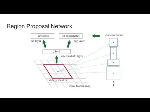 Region Proposal Network