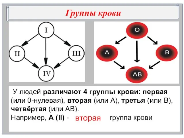 Группы крови У людей различают 4 группы крови: первая (или 0-нулевая),