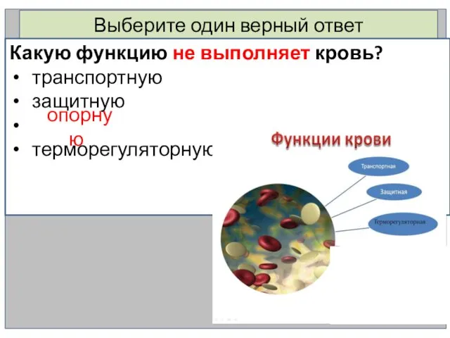 Выберите один верный ответ Какую функцию не выполняет кровь? транспортную защитную опорную терморегуляторную Топорную