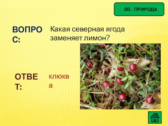 30. ПРИРОДА ВОПРОС: Какая северная ягода заменяет лимон? ОТВЕТ: клюква