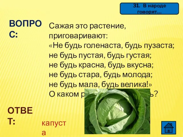 31. В народе говорят… ВОПРОС: Сажая это растение, приговаривают: «Не будь