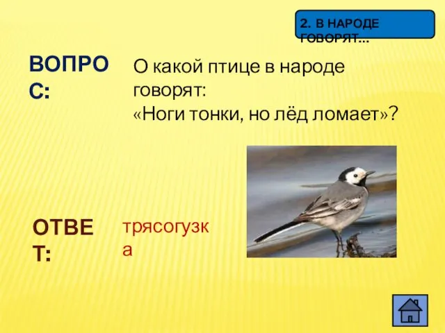 ВОПРОС: О какой птице в народе говорят: «Ноги тонки, но лёд