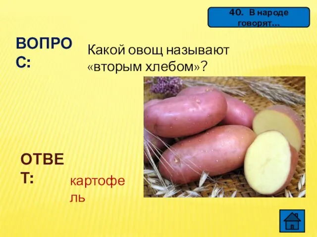 40. В народе говорят… ВОПРОС: Какой овощ называют «вторым хлебом»? ОТВЕТ: картофель