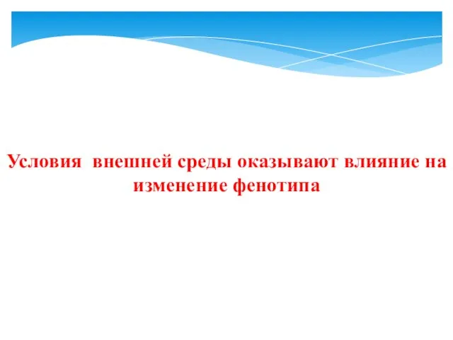 Условия внешней среды оказывают влияние на изменение фенотипа