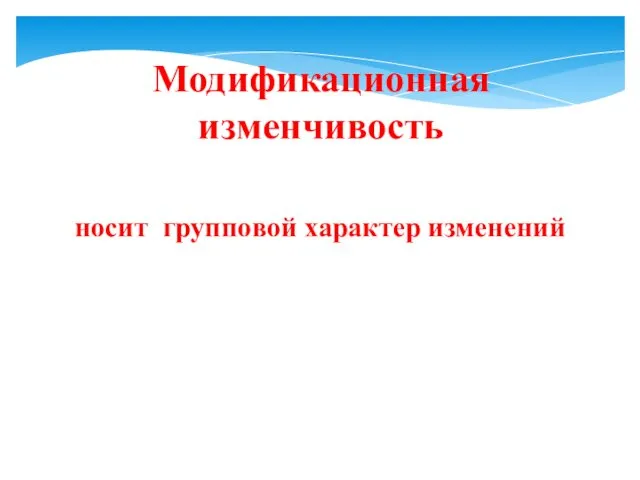 носит групповой характер изменений Модификационная изменчивость