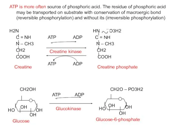 ATP is more often source of phosphoric acid. The residue of