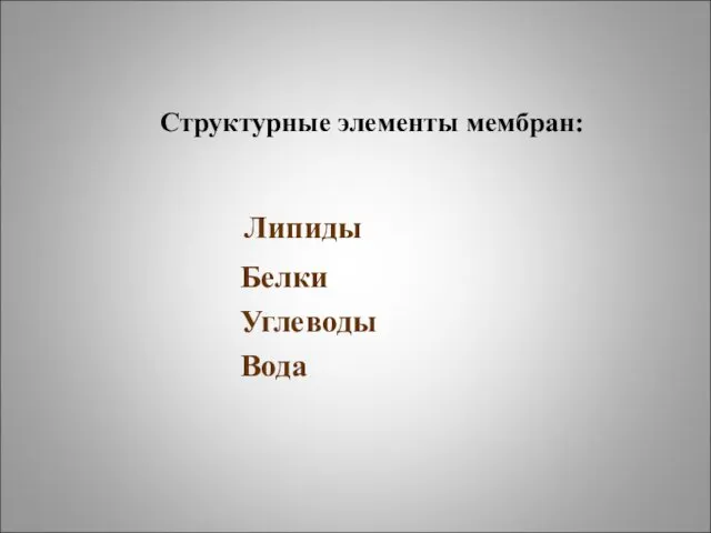 Структурные элементы мембран: Липиды Белки Углеводы Вода