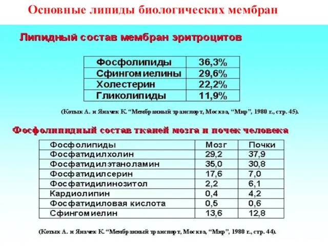 Основные липиды биологических мембран