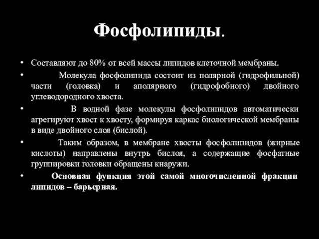 Фосфолипиды. Составляют до 80% от всей массы липидов клеточной мембраны. Молекула