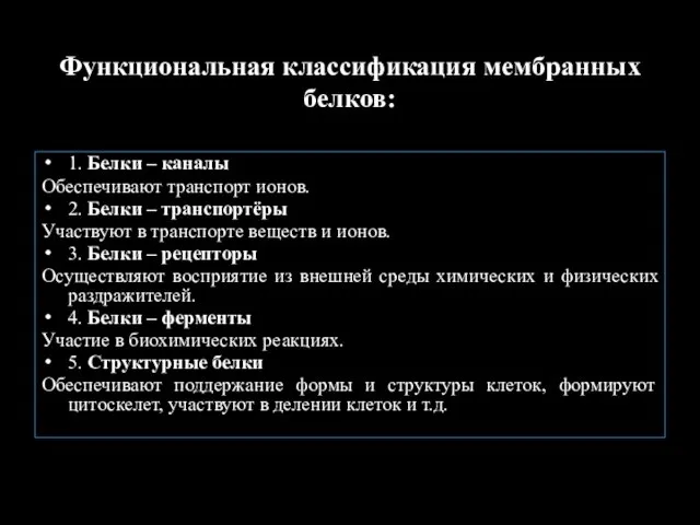 Функциональная классификация мембранных белков: 1. Белки – каналы Обеспечивают транспорт ионов.