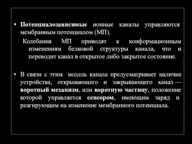 Потенциалозависимые ионные каналы управляются мембранным потенциалом (МП). Колебания МП приводят к