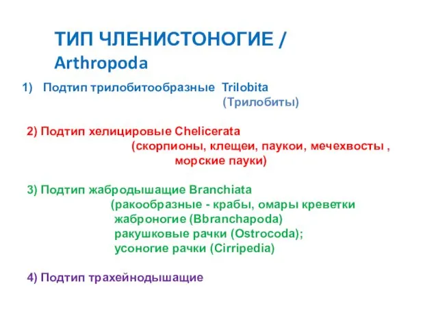 ТИП ЧЛЕНИСТОНОГИЕ / Arthropoda Подтип трилобитообразные Trilobita (Трилобиты) 2) Подтип хелицировые