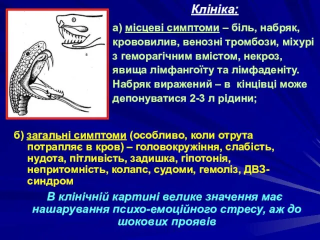 б) загальні симптоми (особливо, коли отрута потрапляє в кров) – головокружіння,