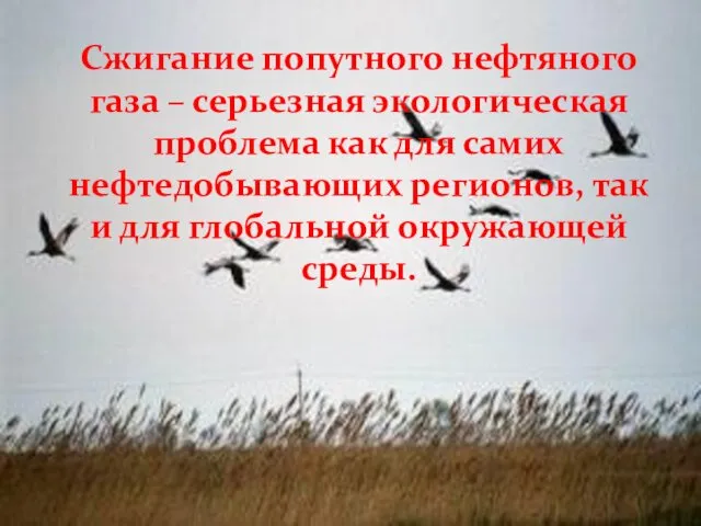 Сжигание попутного нефтяного газа – серьезная экологическая проблема как для самих