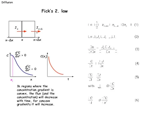 Diffusion Fick’s 2. law In regions where the concentration gradient is