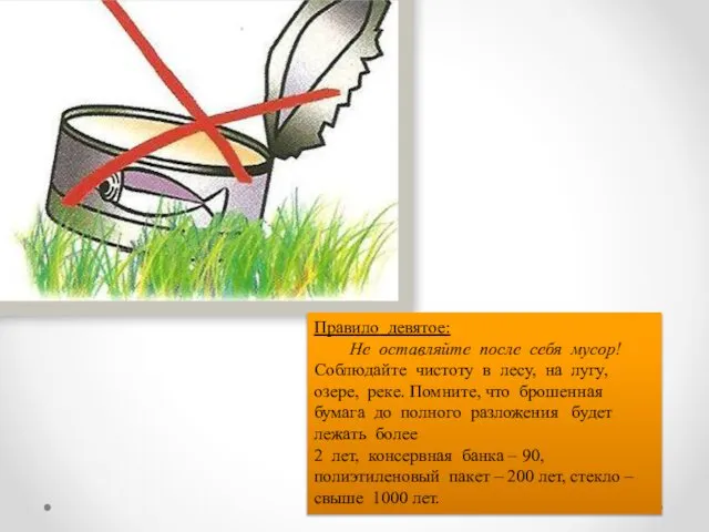 Правило девятое: Не оставляйте после себя мусор! Соблюдайте чистоту в лесу,