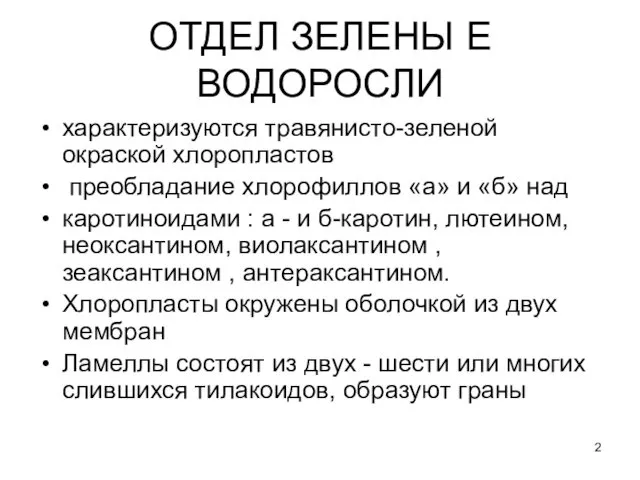 ОТДЕЛ ЗЕЛЕНЫ Е ВОДОРОСЛИ характеризуются травянисто-зеленой окраской хлоропластов преобладание хлорофиллов «а»