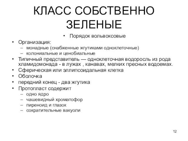 КЛАСС СОБСТВЕННО ЗЕЛЕНЫЕ Порядок вольвоксовые Организация: монадные (снабженные жгутиками одноклеточные) колониальные