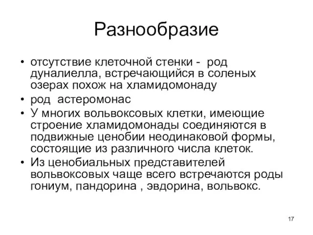 Разнообразие отсутствие клеточной стенки - род дуналиелла, встречающийся в соленых озерах