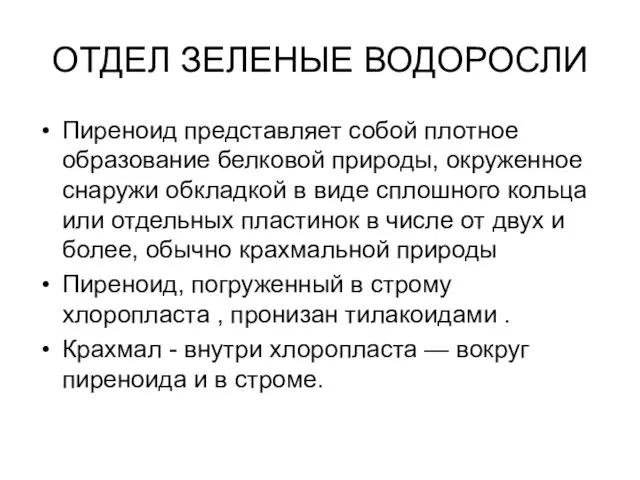 ОТДЕЛ ЗЕЛЕНЫЕ ВОДОРОСЛИ Пиреноид представляет собой плотное образование белковой природы, окруженное