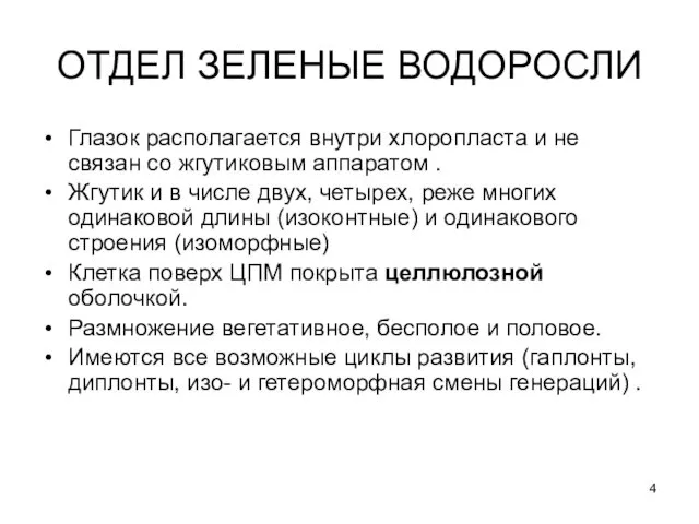 ОТДЕЛ ЗЕЛЕНЫЕ ВОДОРОСЛИ Глазок располагается внутри хлоропласта и не связан со