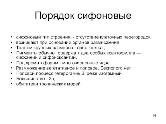 Порядок сифоновые сифоновый тип строения, - отсутствие клеточных перегородок, возникают при