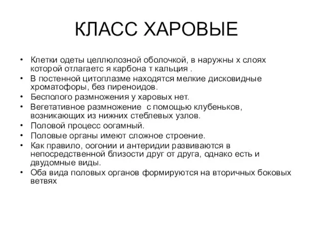 КЛАСС ХАРОВЫЕ Клетки одеты целлюлозной оболочкой, в наружны х слоях которой