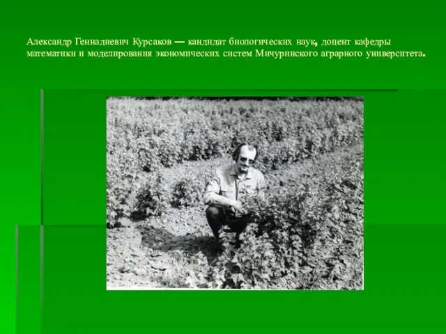 Александр Геннадиевич Курсаков — кандидат биологических наук, доцент кафедры математики и