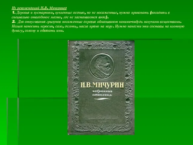 Из рекомендаций И.В. Мичурина: 1. Деревья и кустарники, купленные осенью, но