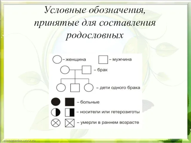 Условные обозначения, принятые для составления родословных