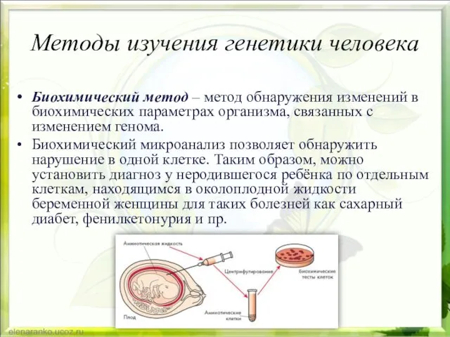 Методы изучения генетики человека Биохимический метод – метод обнаружения изменений в