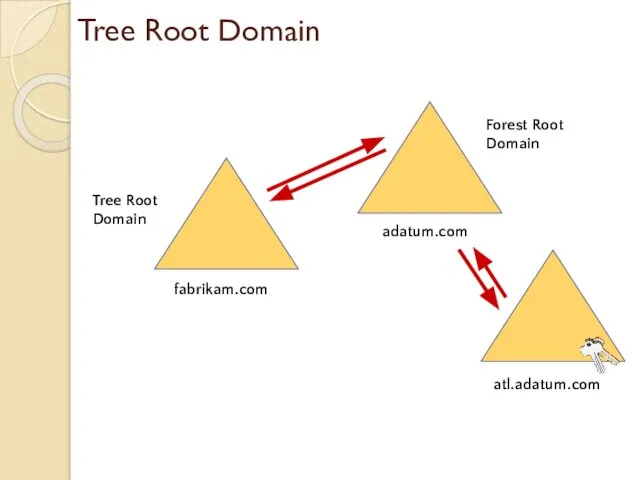 Tree Root Domain