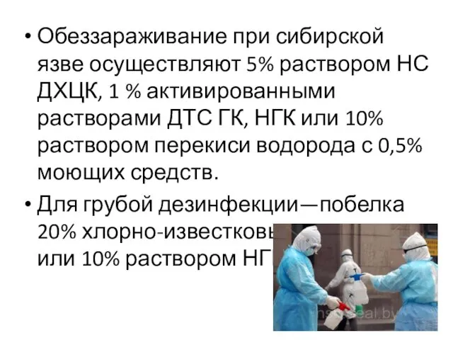 Обеззараживание при сибирской язве осуществляют 5% раствором НС ДХЦК, 1 %