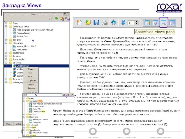 Начиная с 2011 версии, в RMS появилась новая область окна проекта,