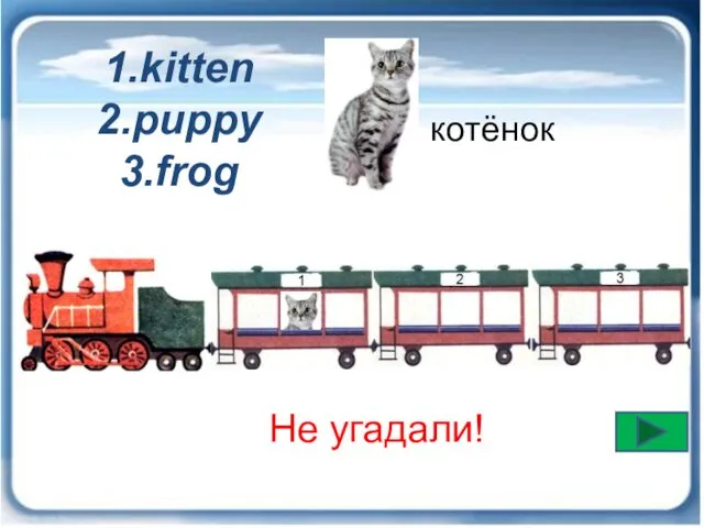 котёнок Не угадали! 1.kitten 2.puppy 3.frog