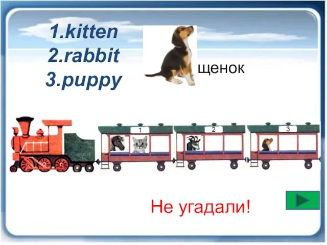 Не угадали! щенок 1.kitten 2.rabbit 3.puppy