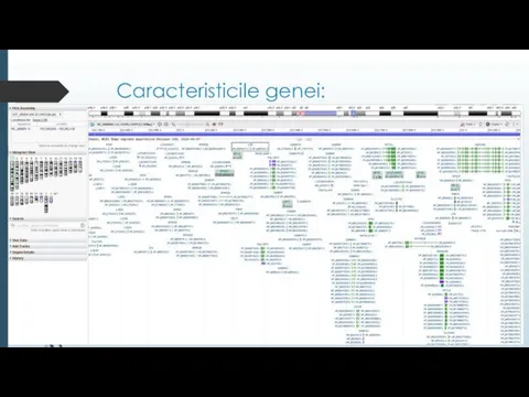 Caracteristicile genei: Locusul: 1q21.3 Lungime: 2491 bp